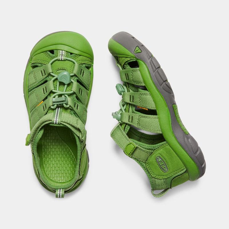 Sandalias Keen Newport H2 Para Niños Verdes - Sandalias Keen Mexico (738640-HVX)